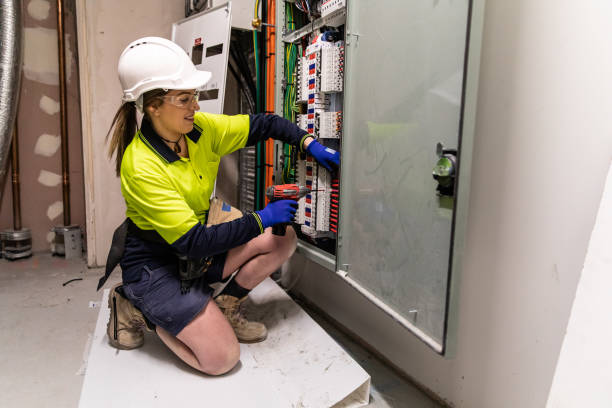 Best Generator Installation Services  in Forest View, IL
